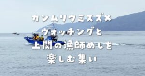 カンムリウミスズメウォッチングと上関の漁師めしを楽しむ集い