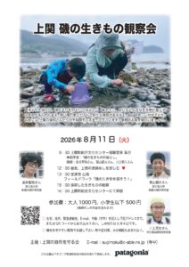 2026年8月11日磯の観察会