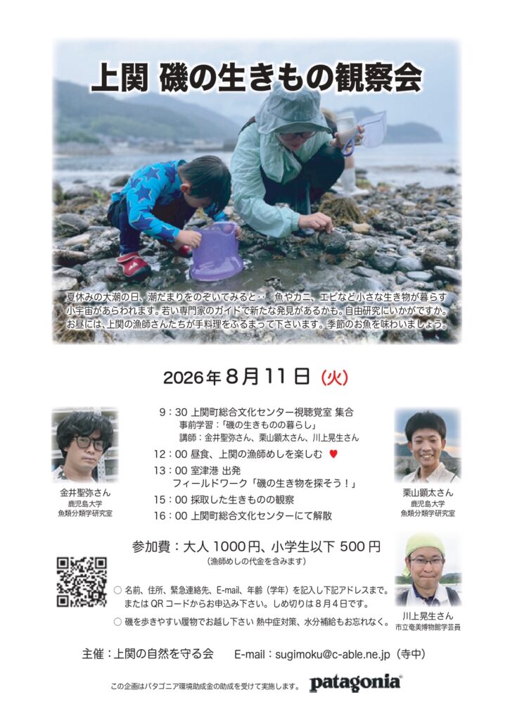 2026年8月11日磯の観察会